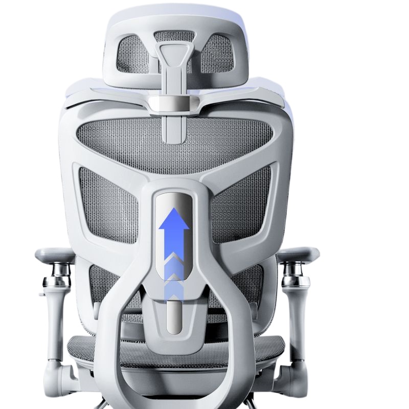 인체공학적 컴퓨터 작업용 사무실 의자, 가정용 요추 지 - Home Office Chair 리뷰 및 가격